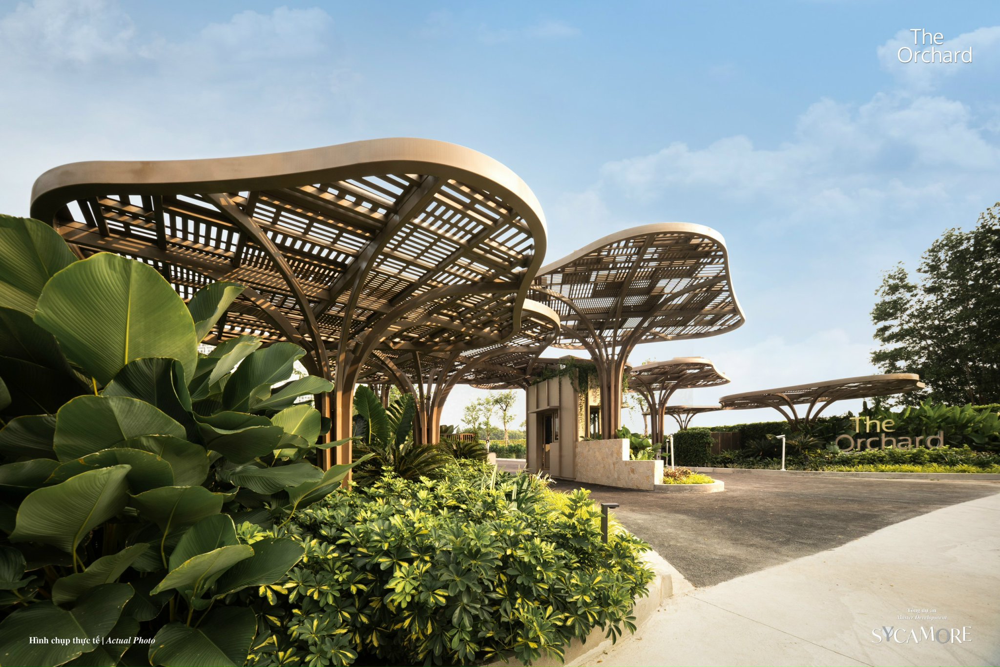 Nha mau phan khu The Orchard Du an Sycamore